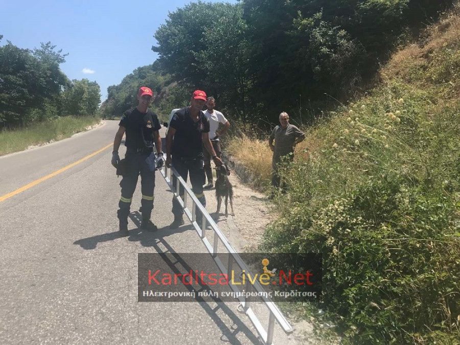 Επιχείρηση της Π.Υ. Καρδίτσας για διάσωση εριφίου στο Μορφοβούνι (+Φώτο)
