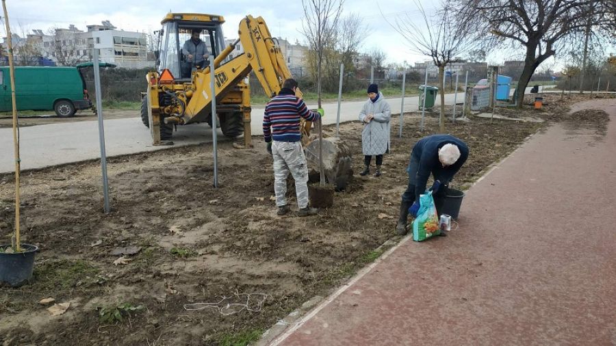 80 νέα δέντρα φυτεύθηκαν περιμετρικά στο αθλητικό πάρκο του "Παλέρμου"