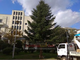 Ήρθε και τοποθετήθηκε το Χριστουγεννιάτικο δέντρο στην πλατεία της Καρδίτσας (+Φώτο +Βίντεο)