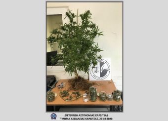 Συνελήφθη άνδρας στην Καρδίτσα για 200 γρ. κάνναβης και 1 δενδρύλλιο κάνναβης