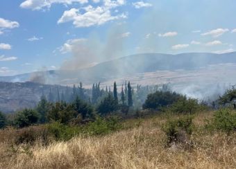 Φάρσαλα: Χωρίς ενεργό μέτωπο η πυρκαγιά στη θέση «Κυρά»