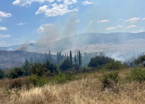 Φάρσαλα: Χωρίς ενεργό μέτωπο η πυρκαγιά στη θέση «Κυρά»
