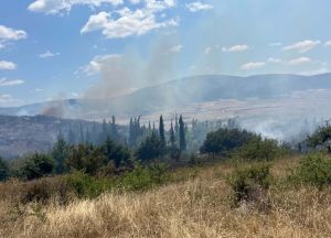 Φάρσαλα: Χωρίς ενεργό μέτωπο η πυρκαγιά στη θέση «Κυρά»