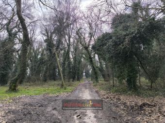 Παν. Σβερώνης: Προς έγκριση η μελέτη για την ανάδειξη και αξιοποίηση του άλσους «Παπαράντζας» (+Φωτο +Βίντεο)