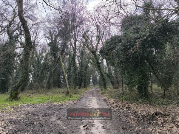 Παν. Σβερώνης: Προς έγκριση η μελέτη για την ανάδειξη και αξιοποίηση του άλσους «Παπαράντζας» (+Φωτο +Βίντεο)