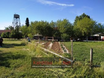 "Εξαιρετική αναπτυξιακή πρωτοβουλία" βλέπει η Γιάννα Αγγελοπούλου στην πρόταση του Δ. Παλαμά σχετικά με τον πρώην Σταθμό Γεωργικής Έρευνας