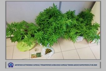 Δύο συλλήψεις το Σάββατο (27/6) στη Λάρισα για κάνναβη