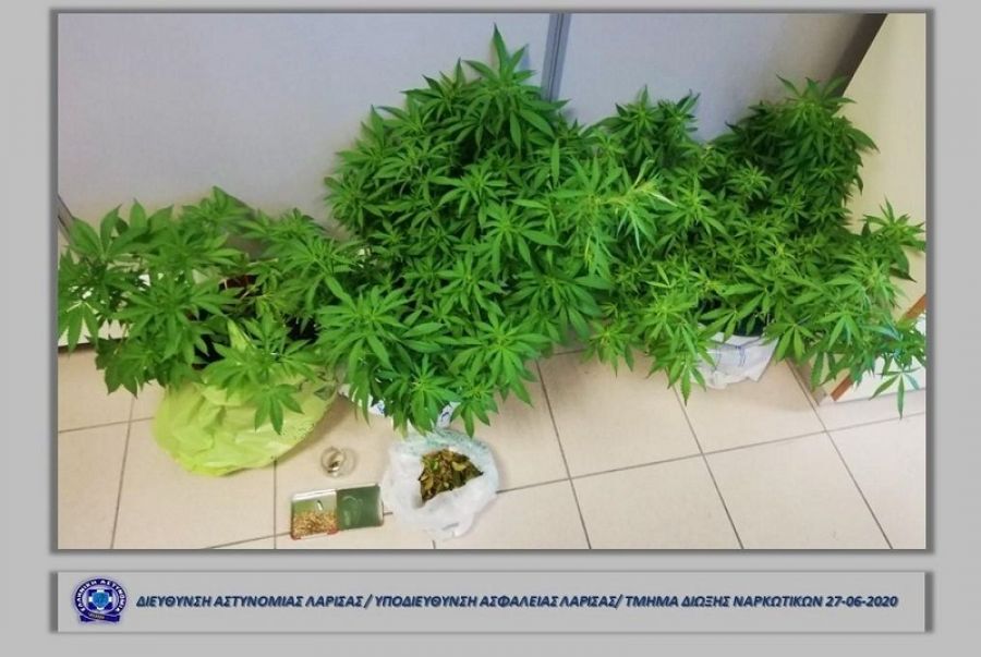 Δύο συλλήψεις το Σάββατο (27/6) στη Λάρισα για κάνναβη