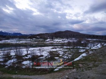 «Κάηκαν» από τον «ανοιξιάτικο» παγετό οι ελιές στη λίμνη Πλαστήρα