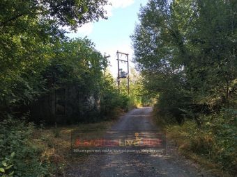 Απόφαση απαγόρευσης κυκλοφορίας σε δασικές περιοχές της Π.Ε. Καρδίτσας για την Τετάρτη 26 Ιουλίου