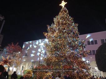 Λαμπερή η τελετή φωταγώγησης του χριστουγεννιάτικου δένδρου στην Καρδίτσα (+Φωτο +Βίντεο)