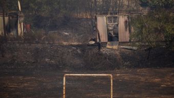 Πληροφορίες για 18 (τουλάχιστον) απανθρακωμένους μετανάστες στο δάσος της Δαδιάς