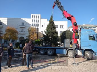 Καρδίτσα: Τοποθετήθηκε το Χριστουγεννιάτικο δέντρο στην Κεντρική Πλατεία (+Φώτο +Βίντεο)