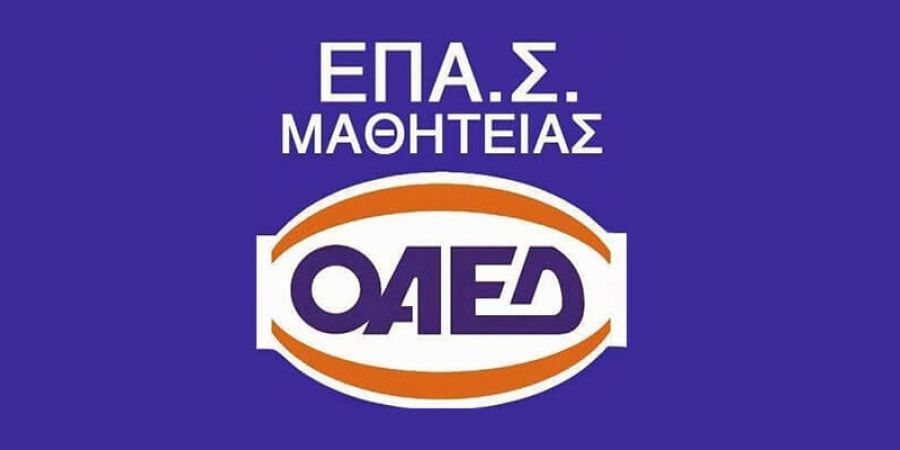 Διαμαρτυρία ΕΠΑ.Σ. Καρδίτσας: Ο νέος νόμος και η ξαφνική υποβάθμιση του πτυχίου των ΕΠΑ.Σ Ο.Α.Ε.Δ