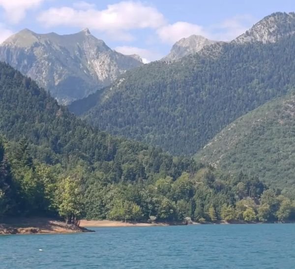 27ος Κολυμβητικός Διάπλους Λίμνης Πλαστήρα: Οι νικητές των αγώνων