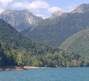 27ος Κολυμβητικός Διάπλους Λίμνης Πλαστήρα: Οι νικητές των αγώνων