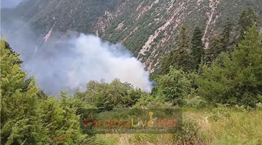 Δασική πυρκαγιά σε εξέλιξη το μεσημέρι της Τρίτης (15/7) στα Κουμπουριανά Καρδίτσας - Τέθηκε υπό πλήρη έλεγχο με τη συνδρομή ελικοπτέρου (+Φωτο +Βίντεο)