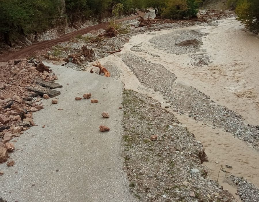 Δημ. Παπακώστας: "Κραυγή αγωνίας από Πετριλιώτη αιρετό μόνιμο κάτοικο: Βοηθήστε μας!"