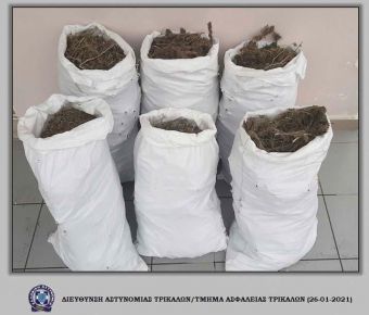 Τρίκαλα: 24 και πλέον κιλά κάνναβης "ξετρύπωσε" ο αστυνομικός σκύλος