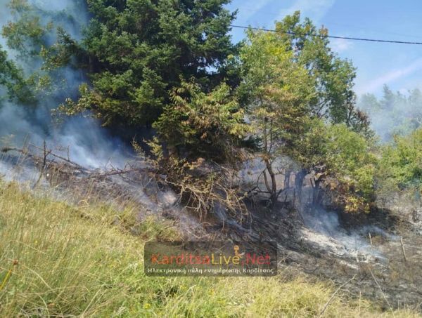 Δασική πυρκαγιά στο Νεοχώρι Καρδίτσας - Οριοθετήθηκε άμεσα μετά την επέμβαση επίγειων και ενεάεριων μέσων (+Φωτο +Βίντεο)