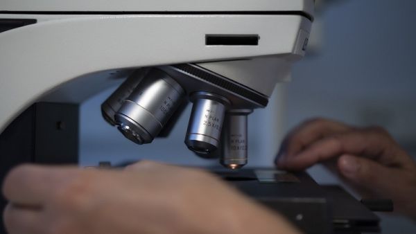 Αντισυλληπτικό γρήγορης και βραχείας δράσης για άνδρες δοκιμάστηκε με επιτυχία σε ζώα