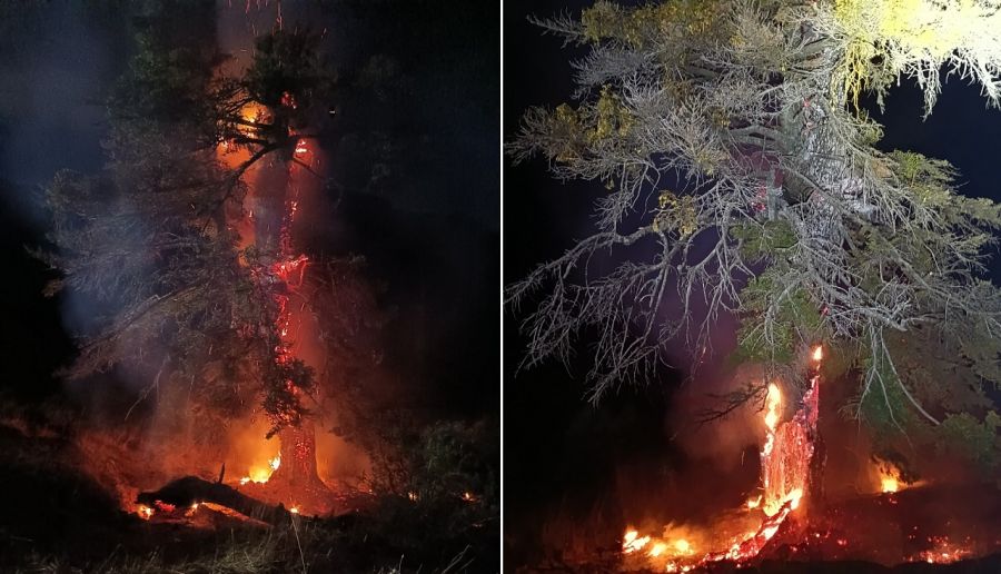 Πυρκαγιά από κεραυνό στην περιοχή του Μεσοβουνίου στην Αργιθέα