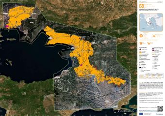 Πυρκαγιά στη Δυτική Αττική: Μάχη με διάσπαρτες εστίες και αναζωπυρώσεις- Από Ψάθα προς Λούμπα το πιο ενεργό σημείο