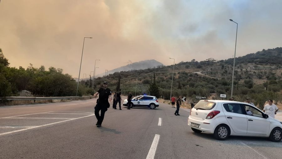 Ξεκίνησε η διαδικασία αυτοψιών και καταγραφών των ζημιών από την πυρκαγιά στη Μαγνησία
