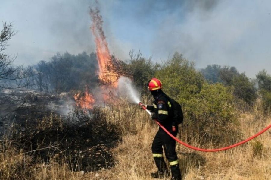 Βρέθηκε απανθρακωμένος 46χρονος βοσκός στον Άγιο Γεώργιο Φερών