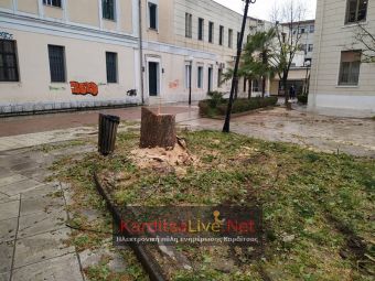 Κόπηκαν τα δέντρα στην πλατεία Δικαστηρίων - Αφαιρέθηκαν και οι μεταλλικές περιφράξεις (+Φώτο)