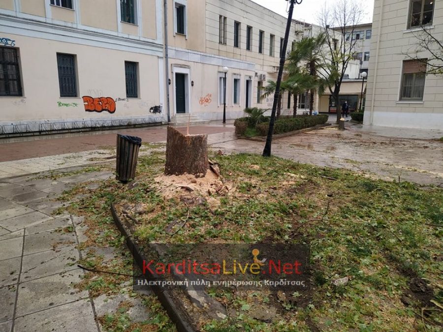 Κόπηκαν τα δέντρα στην πλατεία Δικαστηρίων - Αφαιρέθηκαν και οι μεταλλικές περιφράξεις (+Φώτο)