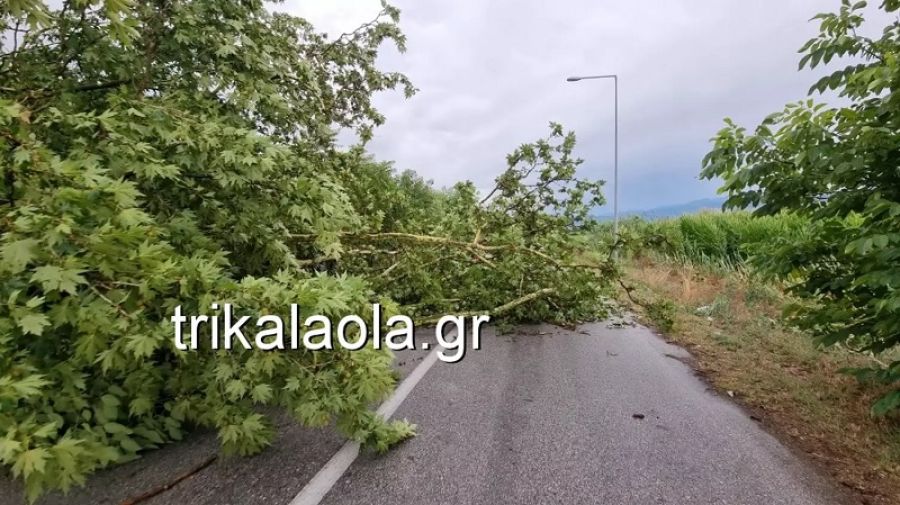 Τεράστιες ζημιές από ισχυρό μπουρίνι σε Πλάτανο, Ρίζωμα, Αρδάνι (+Βίντεο)