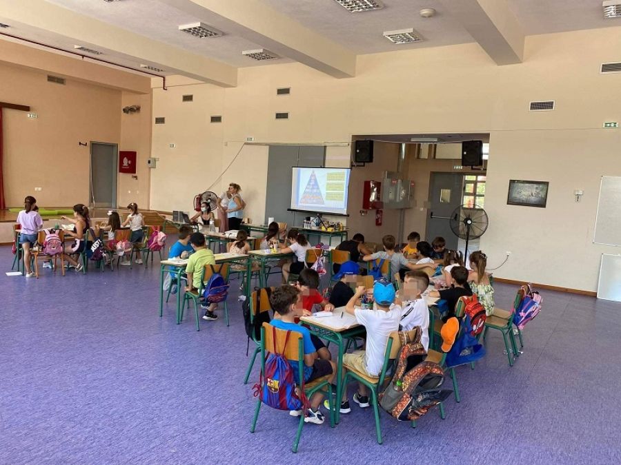 ΔΟΠΑΠΑ Παλαμά: Με επιτυχία υλοποιήθηκε για τρίτη χρονιά η δράση “Summer Κ.Δ.Α.Π.”