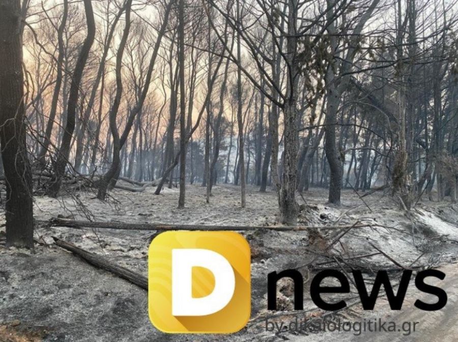 Ανυπολόγιστη η καταστροφή από την πυρκαγιά στην Βαρυμπόμπη - Συνεχίζονται οι προσπάθειες κατάσβεσης (+Φώτο +Βίντεο)