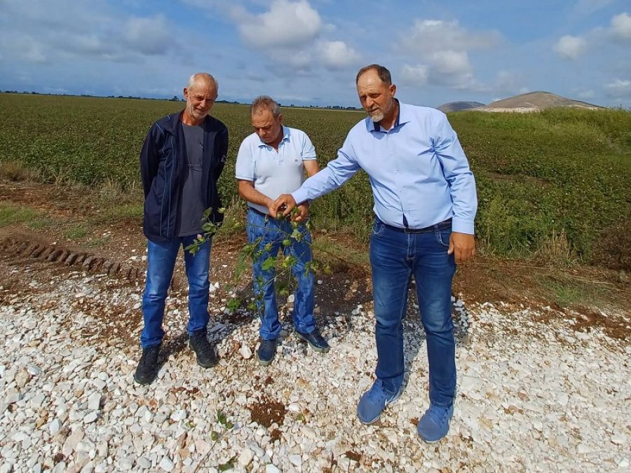 Η "Λαϊκή Συσπείρωση Δήμου Παλαμά" για τις αυτοψίες σε καλλιέργειες Πέτρινου και Ιτέας που επλήγησαν από την κακοκαιρία