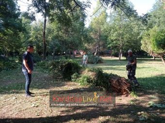 Σε εξέλιξη οι εργασίες απομάκρυνσης των πεσμένων δένδρων στο Παυσίλυπο (+Φώτο +Βίντεο)