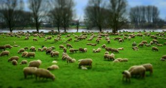 Δ.Α.Ο.Κ. Π.Ε. Καρδίτσας: Ενημέρωση κτηνοτρόφων για την κατανομή των επιλέξιμων βοσκοτόπων έτους 2021 στη Π.Ε. Καρδίτσας
