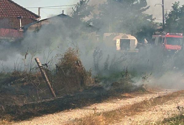Διψήφιος ο αριθμός των πυρκαγιών της Τρίτη (30/6) στην περιοχή μας - Δύο συλλήψεις στην Καρδιτσομαγούλα