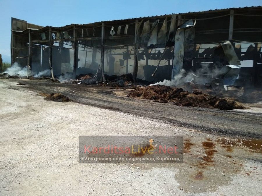 Ολοκληρωτική καταστροφή στην αποθήκη που κάηκε στο Μακρυχώρι (+Φώτο +Βίντεο)