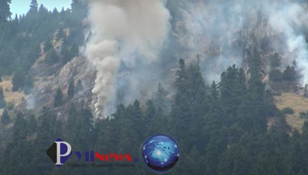 Τραυματίστηκε πυροσβέστης στα Στουρναραίικα - Με ελικόπτερο έγινε η μεταφορά του στο Π.Ν. Λάρισας