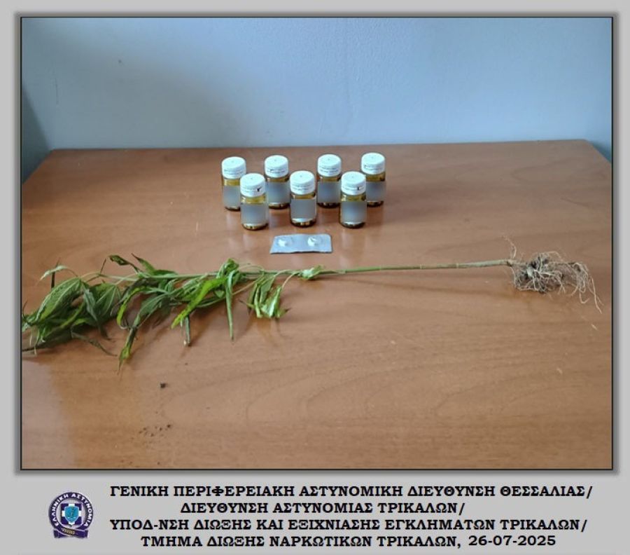 Σύλληψη άνδρα στα Τρίκαλα για ναρκωτικά χάπια και δενδρύλλιο κάνναβης