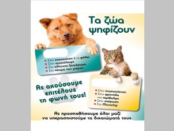 ΓΕΛ Παλαμά: 2η φάση του προγράμματος: «Προτείνω και διεκδικώ μια καλύτερη κοινωνία»