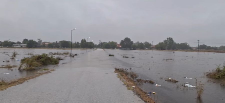 Πρόταση του Παν. Θεσσαλίας: Πώς μπορούν οι ΚοινΣΕπ να συμβάλλουν στην ανασυγκρότηση του θεσσαλικού κάμπου