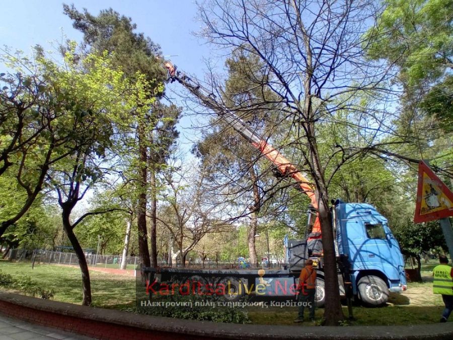 Φωλιές κορακοειδών στο Παυσίλυπο: Ολημερίς γκρεμίζανε…