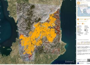 Πάνω από 40 χιλιάδες στρέμματα κάηκαν στη Χίο