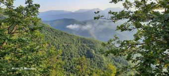 Σε εξέλιξη πυρκαγιά μεταξύ Μορφοβουνίου και Ελληνόπυργου (+Φώτο)