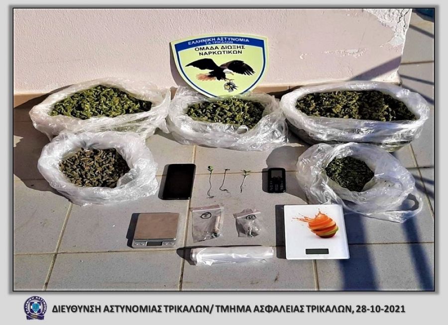 20 άτομα εμπλέκονται σε υπόθεση διακίνησης κάνναβης που καλλιεργήθηκε στο Δήμο Μετεώρων