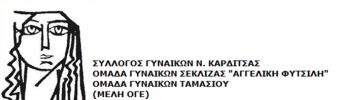 Κάλεσμα των Συλλόγων Γυναικών Καρδίτσας για συμμετοχή στην απεργία της 10ης Ιουνίου