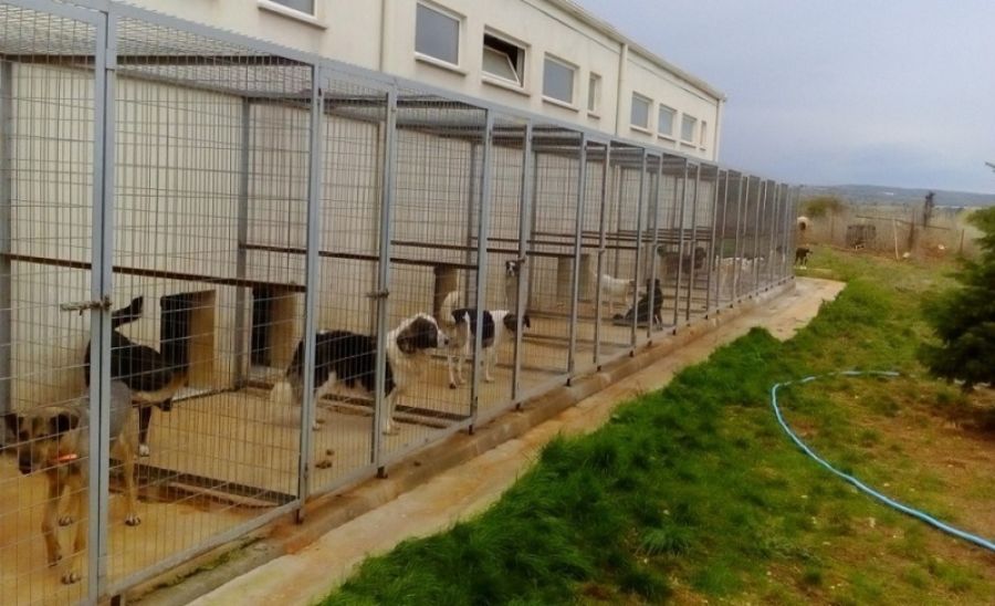 Εγκρίθηκε χρηματοδότηση 3,5 εκατ. ευρώ για το διαδημοτικό καταφύγιο των Δήμων του ν. Καρδίτσας