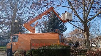 Καρδίτσα: Κλαδεύονται τα δένδρα στην πλατεία Ακαδημίας (+Φωτο +Βίντεο)